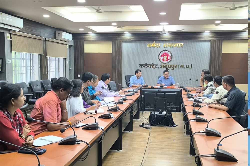 पीएम विश्वकर्मा योजना का जिले में बेहतर क्रियान्वयन करें सुनिश्चित- कलेक्टर