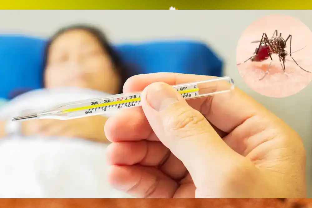 कर्नाटक में 24,500 के पार पहुंचे डेंगू के मामले, अब तक 12 लोगों की मौत