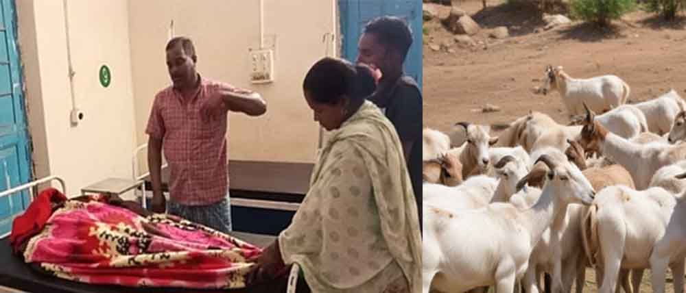 छत्तीसगढ़-रायगढ़ में बकरी चराने गई महिला की मौत, जंगल में मिला शव