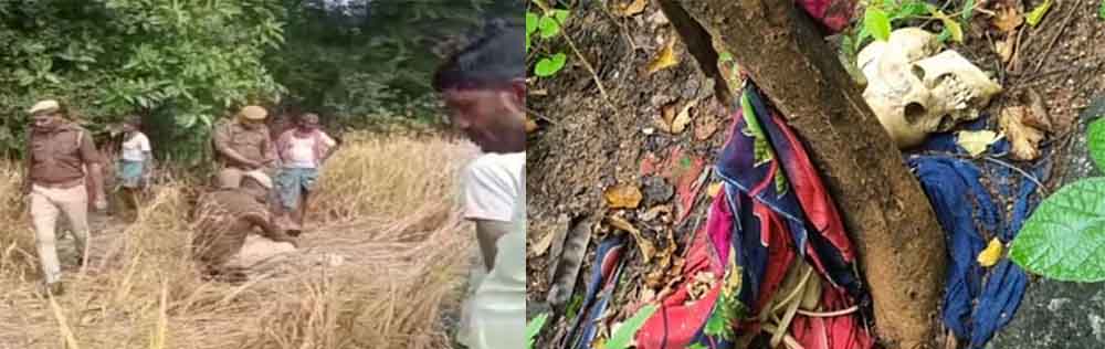 छत्तीसगढ़-कांकेर में मिला महिला का कंकाल, टूटी चूड़ियां और चांदी की पायलें पास में पड़ीं