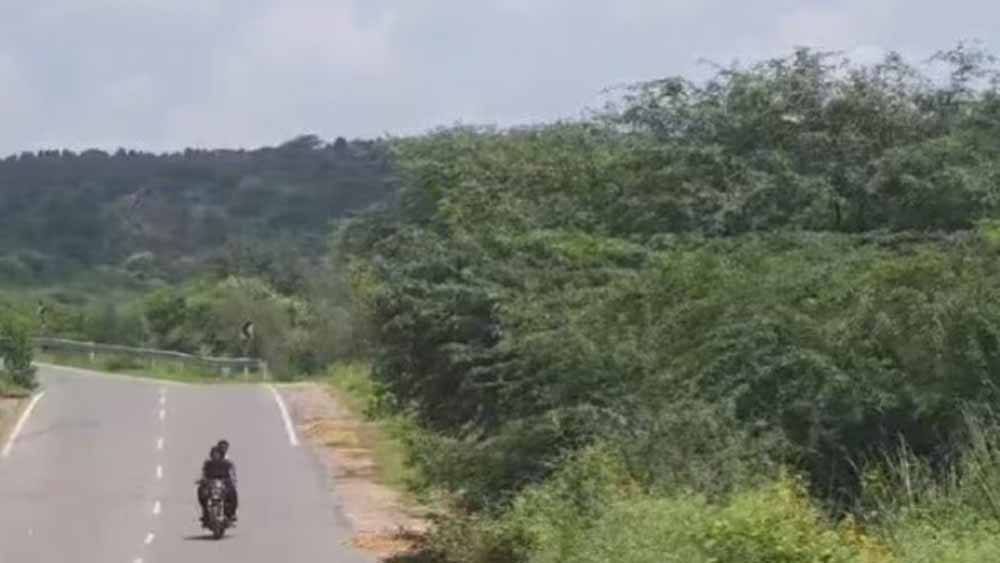 दिल्ली पुलिस की स्पेशल सेल ने अलकायदा संगठन से जुड़े 6 संदिग्ध आतंकियों को हिरासत में लिया