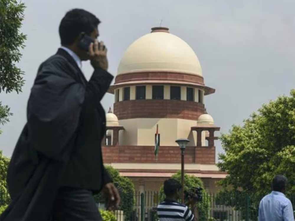 सुप्रीम कोर्ट परिसर में नहीं मिली दवाई, महिला वकील की जांघ पर बंदर ने काटा, HC में लगा इंजेक्शन