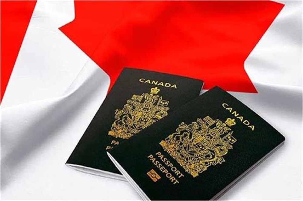पंजाबियों को कनाडा सरकार ने बड़ा झटका दिया, बंद कर दिए Visa!, बढ़ी चिंता