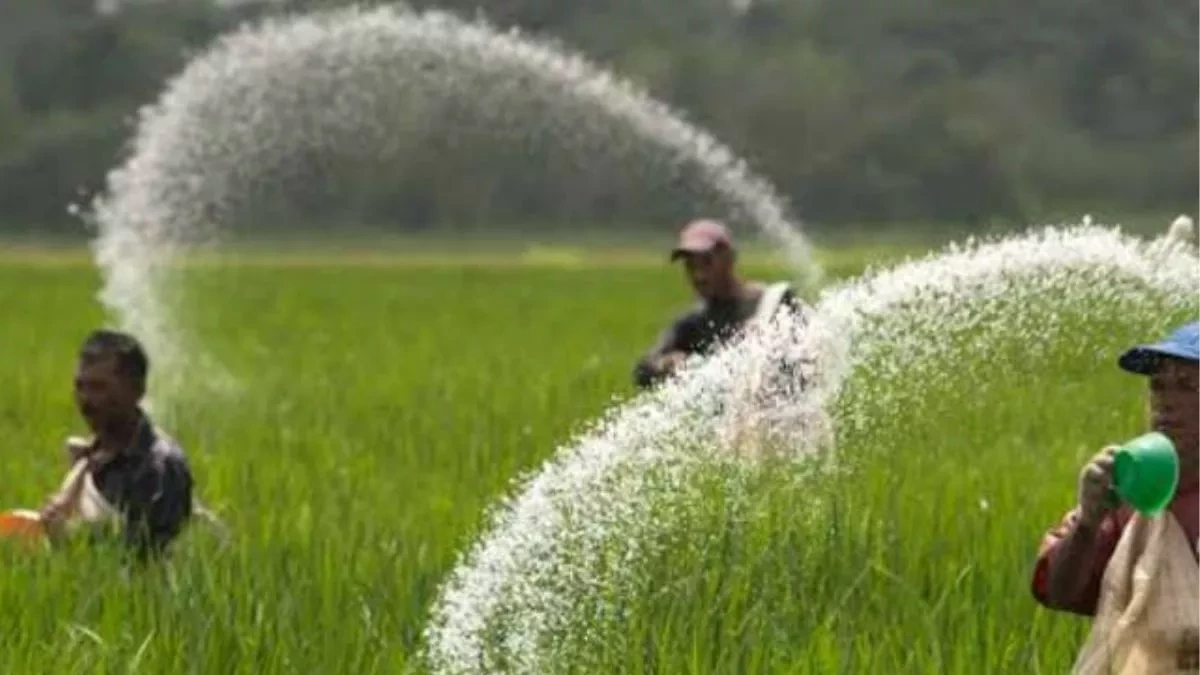 छत्तीसगढ़ के किसानों को मिलेगा अतिरिक्त DAP यूरिया