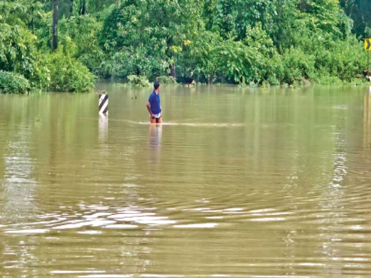 बस्तर में भारी बारिश, दंतेवाड़ा नकदी कीचड़ में फंसी