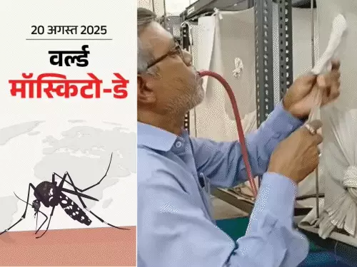 वैज्ञानिक खरगोश खून से मच्छर पालन में जुटे