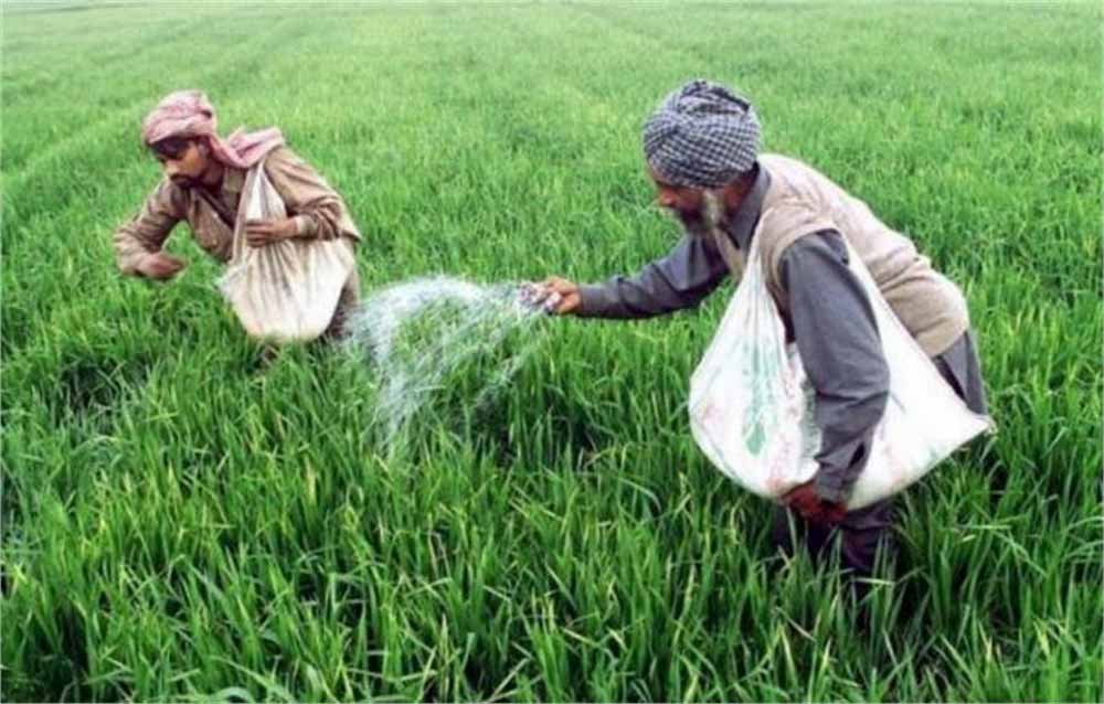 सरकार ने बदला फसल खरीदने का तरीका, किसानों के