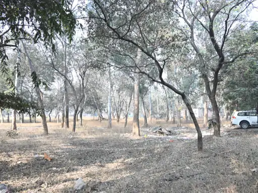 गार्डनऑक्सीजोन की तर्ज पर रायपुर को मिलेगा एक और