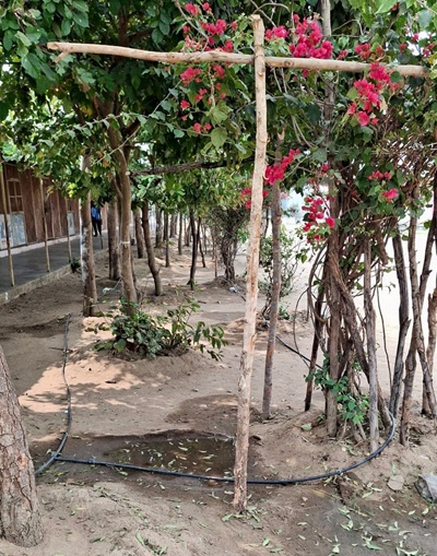 पोटाकेबिन में ‘वेस्ट वॉटर मैनेजमेंट’ से संवरी तस्वीर