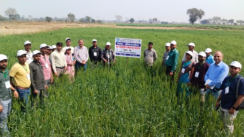 झारखंड के किसानों ने छत्तीसगढ़ में सीखीं उन्नत कृषि