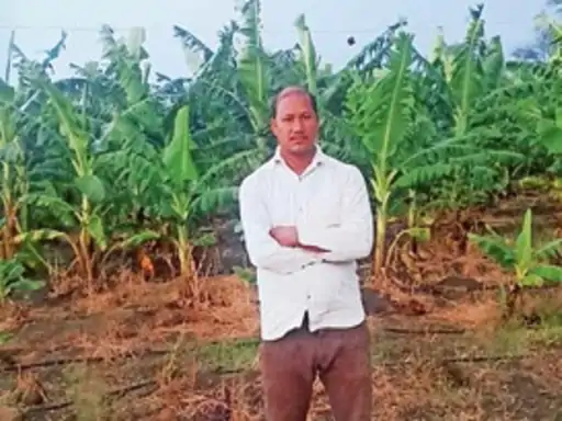 जैविक खेती से बढ़ी पैदावार किसानों की आय