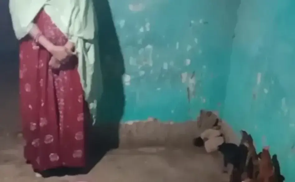 ​रायपुर : बसंती नाग बनीं आत्मनिर्भरता की मिसाल: ‘सेवा संकल्प अभियान’ के तहत चूजा पालन से संवर रही आजीविका